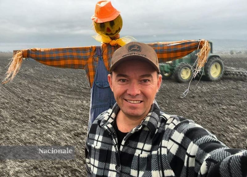 Subvencionet si “sadaka”, tkurrje e grurit dhe varësi nga importet: a duhet kopjuar modeli në Mitrovicë?