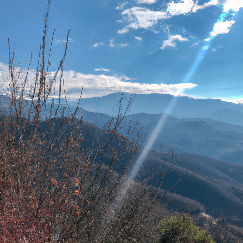 Përshpejtimi i Tranzicionit të Energjisë Globale: Sfidat dhe Perspektivat në Botën e Sotme