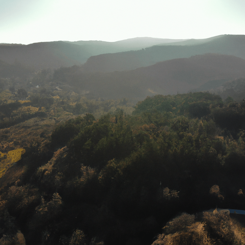 Kriza Klimatike dhe Vendimmarrja Globale: Nga Konferencat e OKB-së te Politikat Vendore