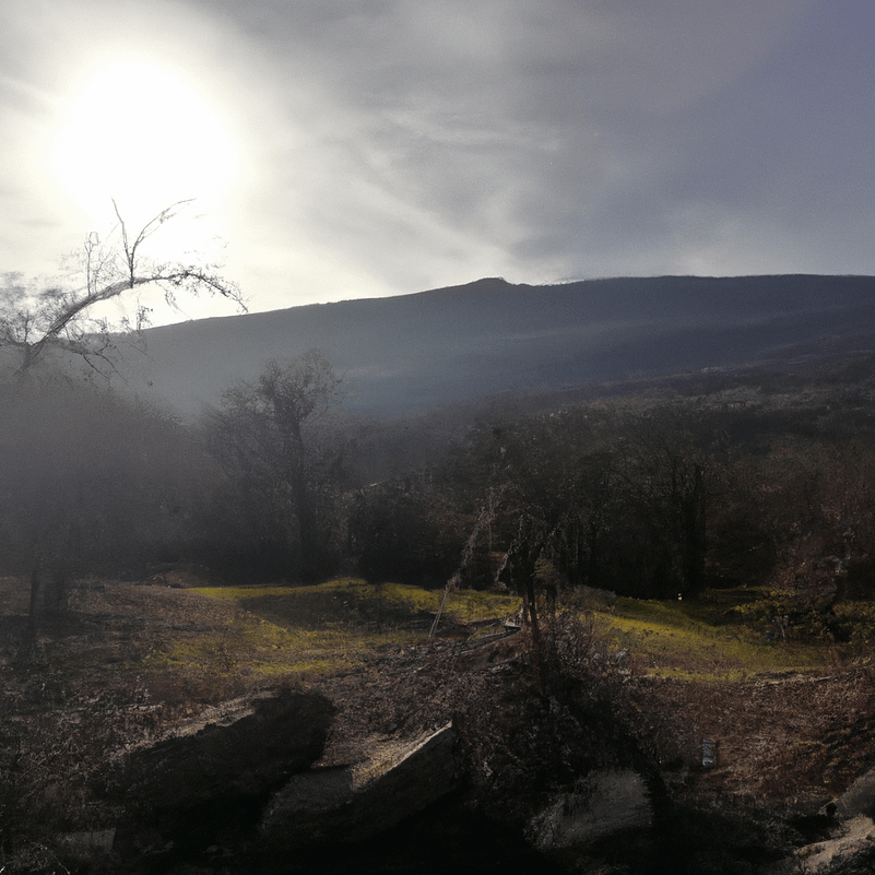 Teknologjia dhe Migracioni: Si Ndikojnë Avancimet Digjitale në Lëvizjet Globale të Popullsive